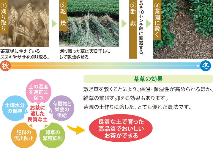 図:世界農業遺産「静岡茶草場農法」
