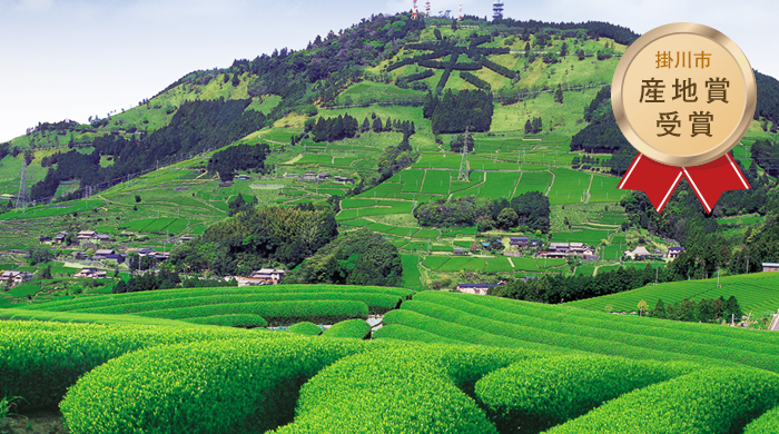 写真:掛川市産地賞受賞