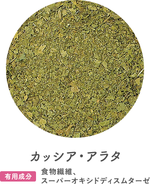 カッシア・アラタ