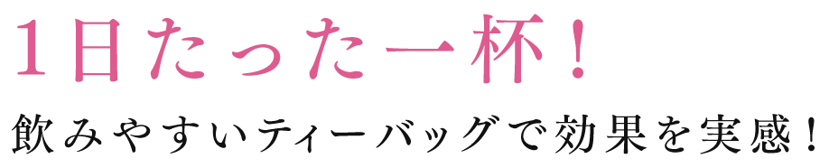 1日たった一杯!飲みやすいティーバッグで効果を実感!