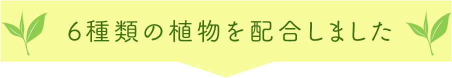 6種類の植物を配合しました